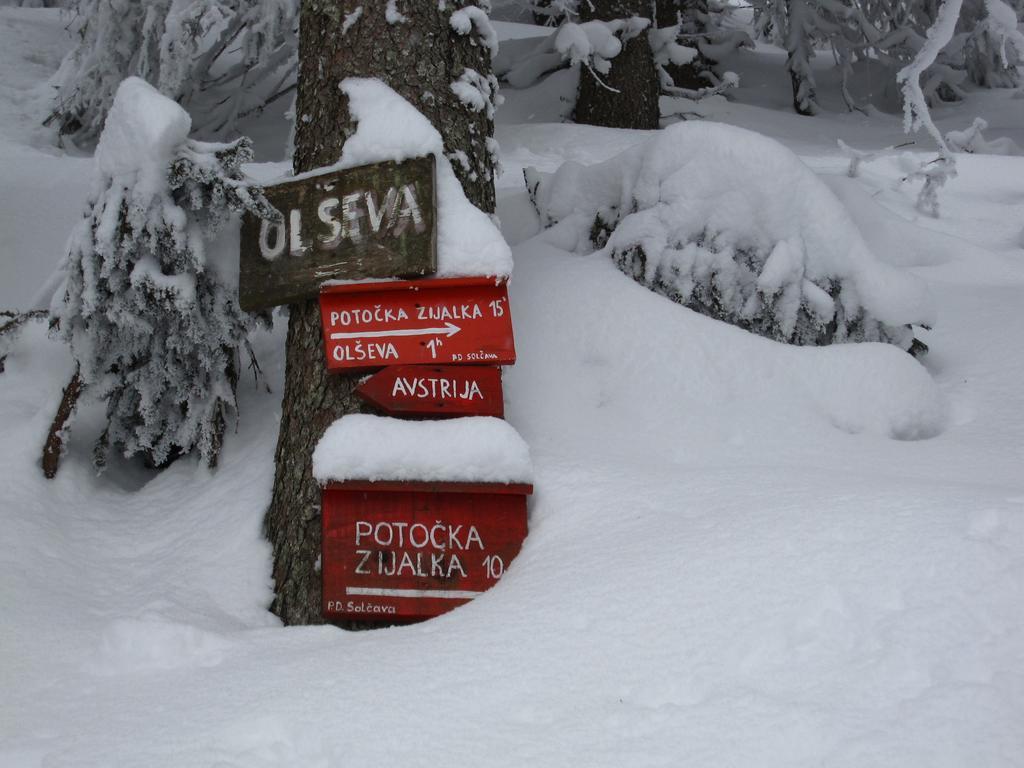 Boutique Rooms Pri Rogovilcu Solčava Eksteriør bilde